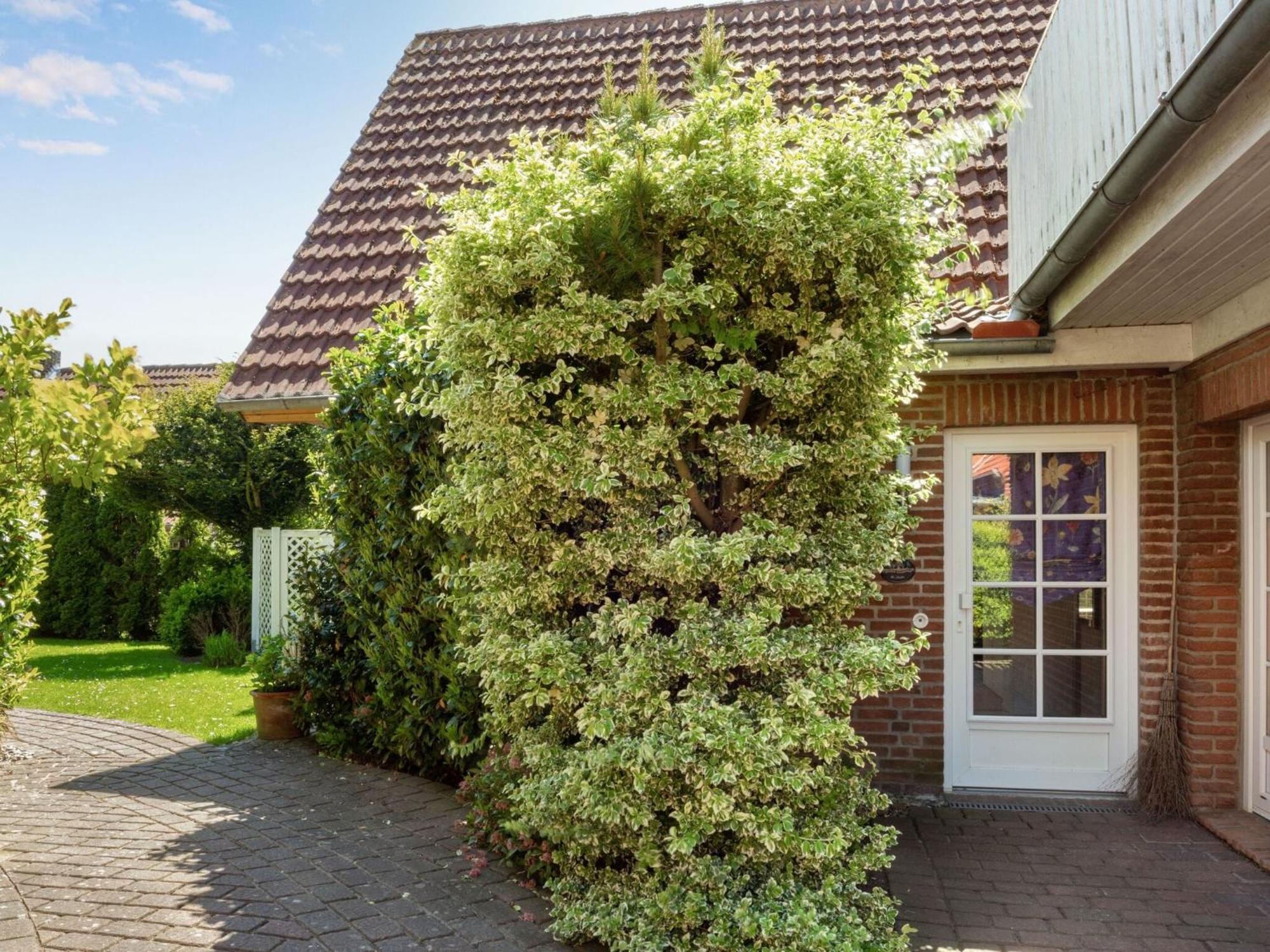 Enticing Holiday Home In Oldenburg With Garden Near Sea Dannau Kültér fotó